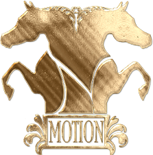 NMotion Equestrian