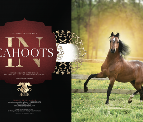 World & National Show Magazine Ads thumbnail picture