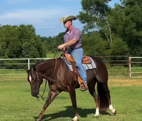 Bo Dee Bars Best thumbnail picture