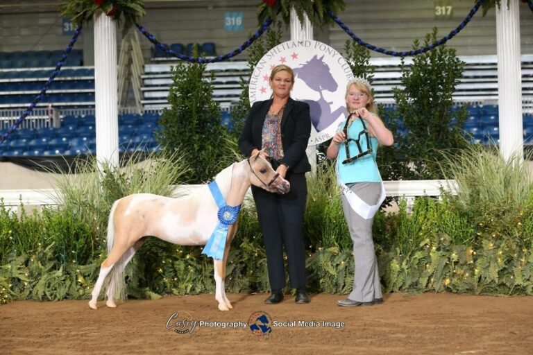 NMotion She Roxx On Fire thumbnail picture