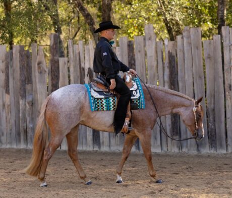 So Flattered thumbnail picture