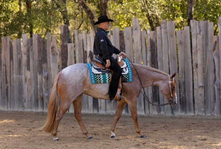 So Flattered thumbnail picture