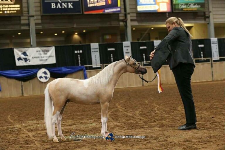 NMotion He Roxx My World thumbnail picture