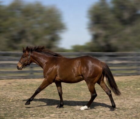 VS Code Me In thumbnail picture